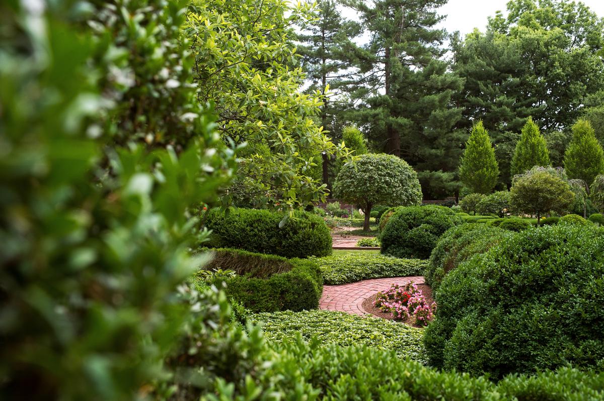 KY Horse Park Arboretum