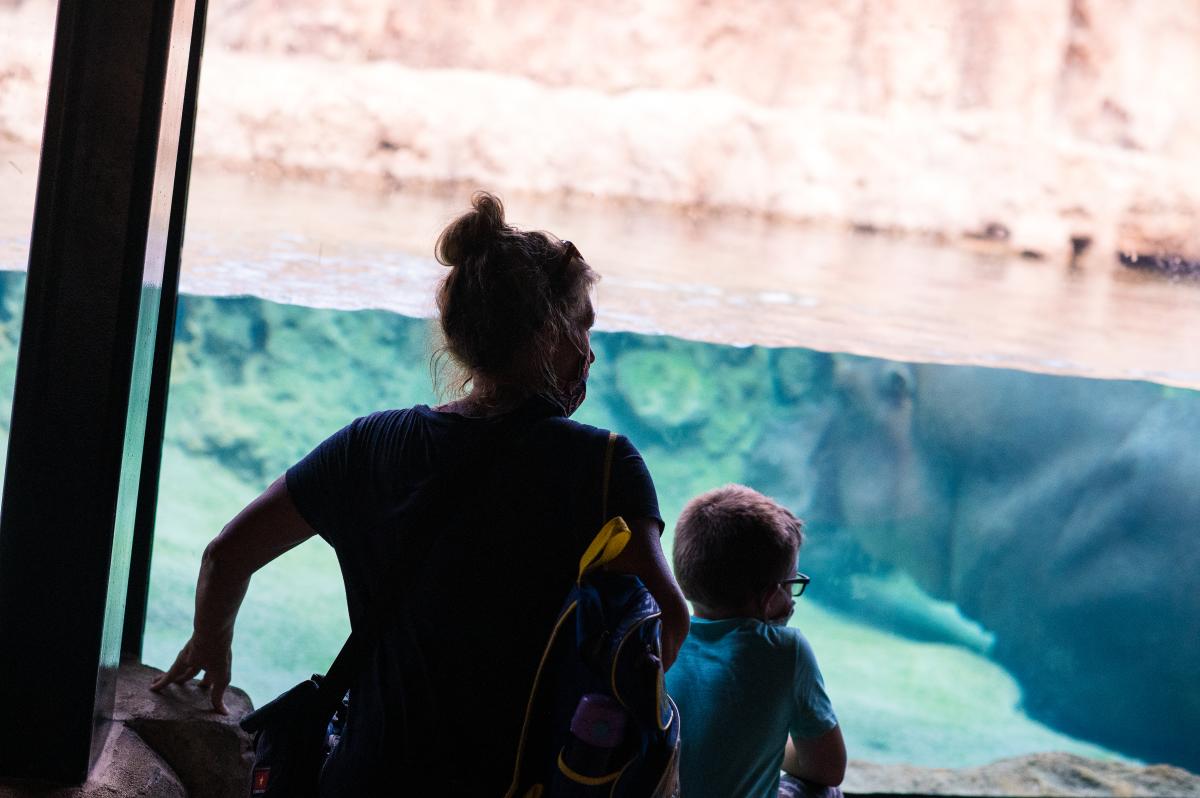 Mother and son looking at the Hippo Haven exhibit at the Milwaukee County Zoo