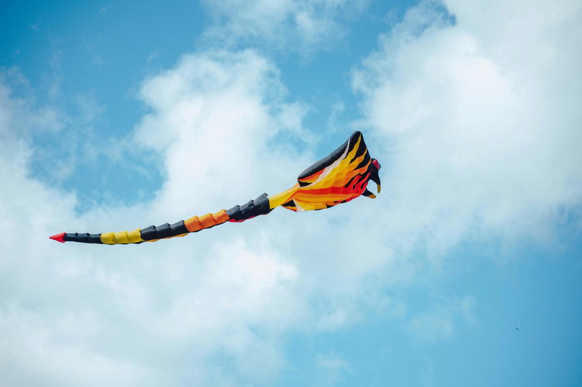 Milwaukee Kite
