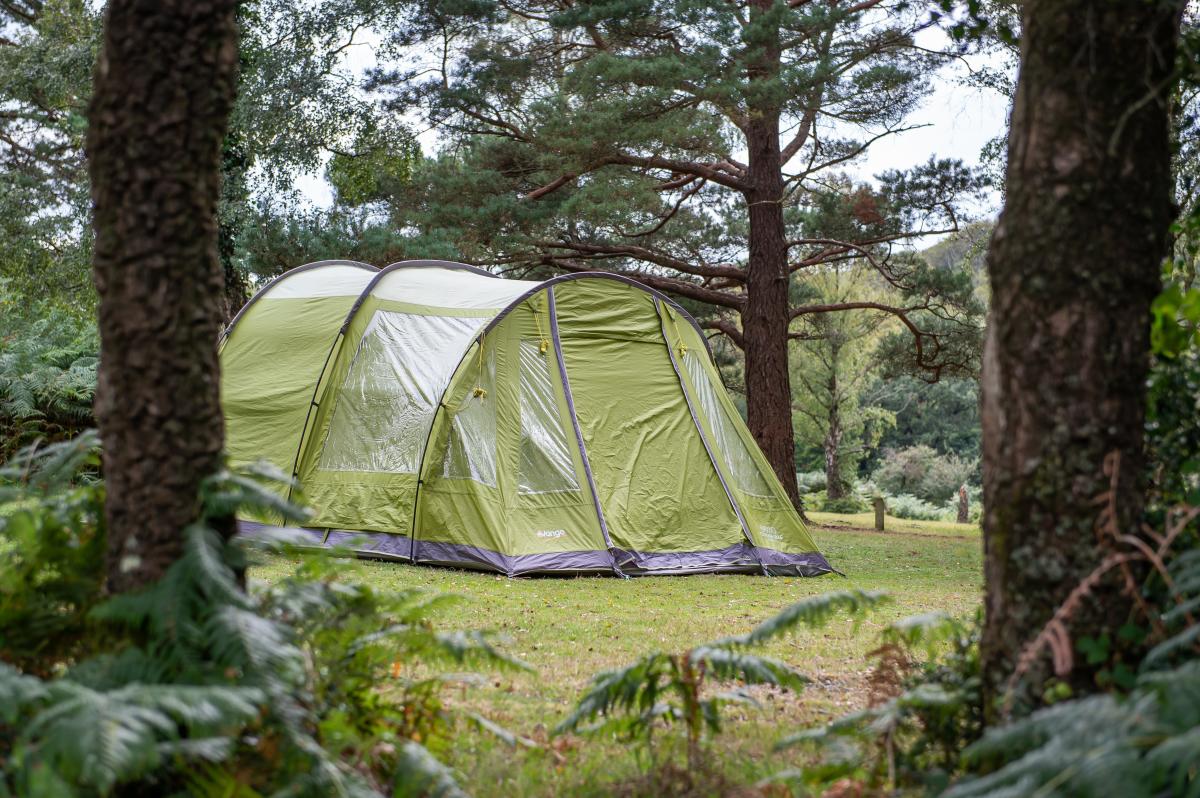 Tent in the forest with Camping New Forest