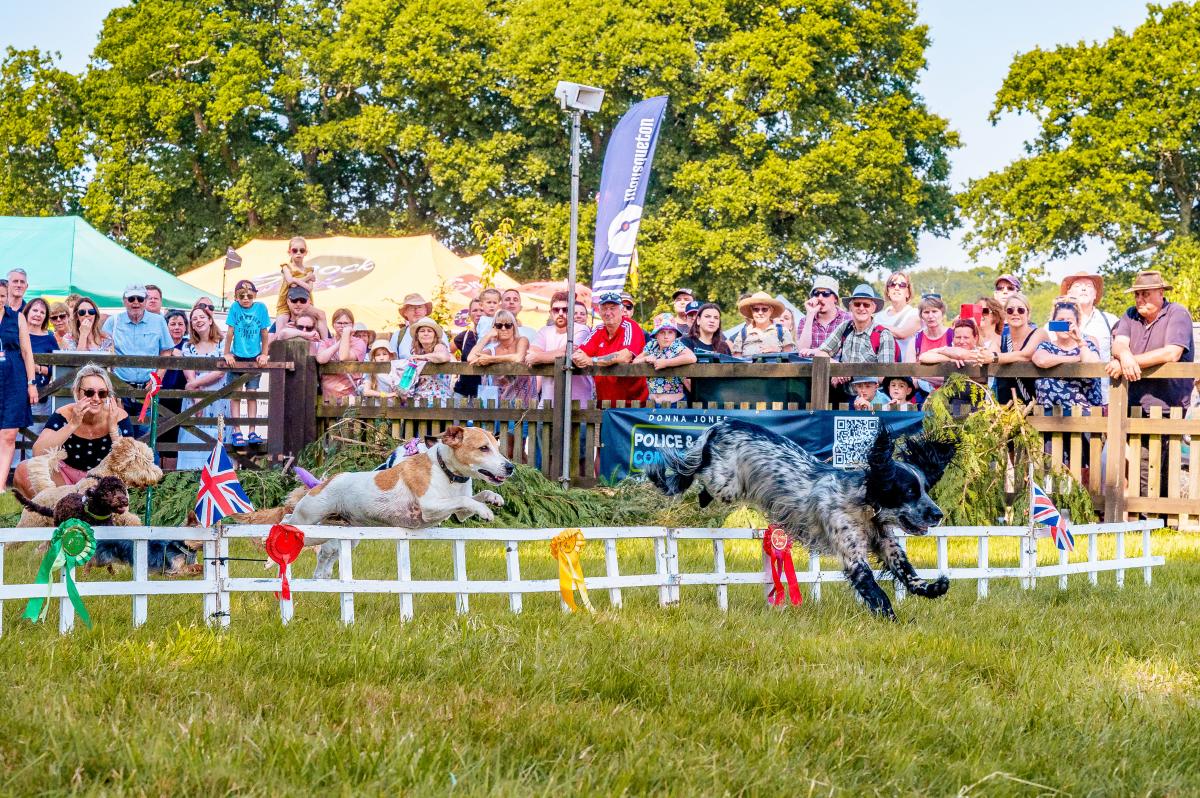 New Forest Show - Dog Show