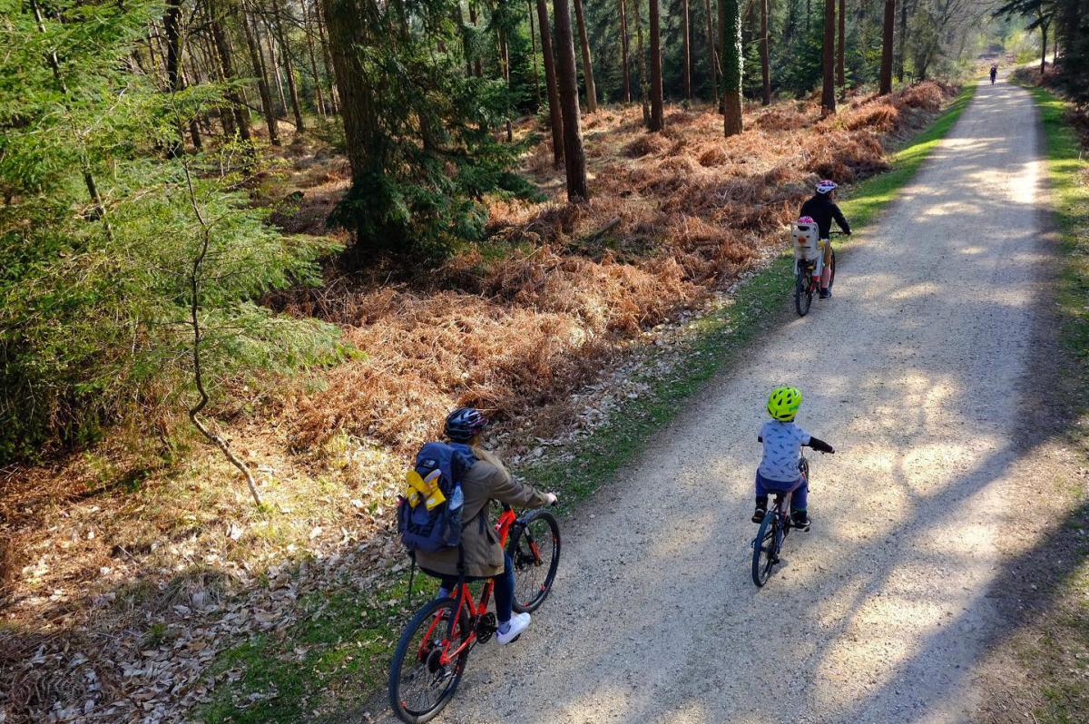 Winter family cycling