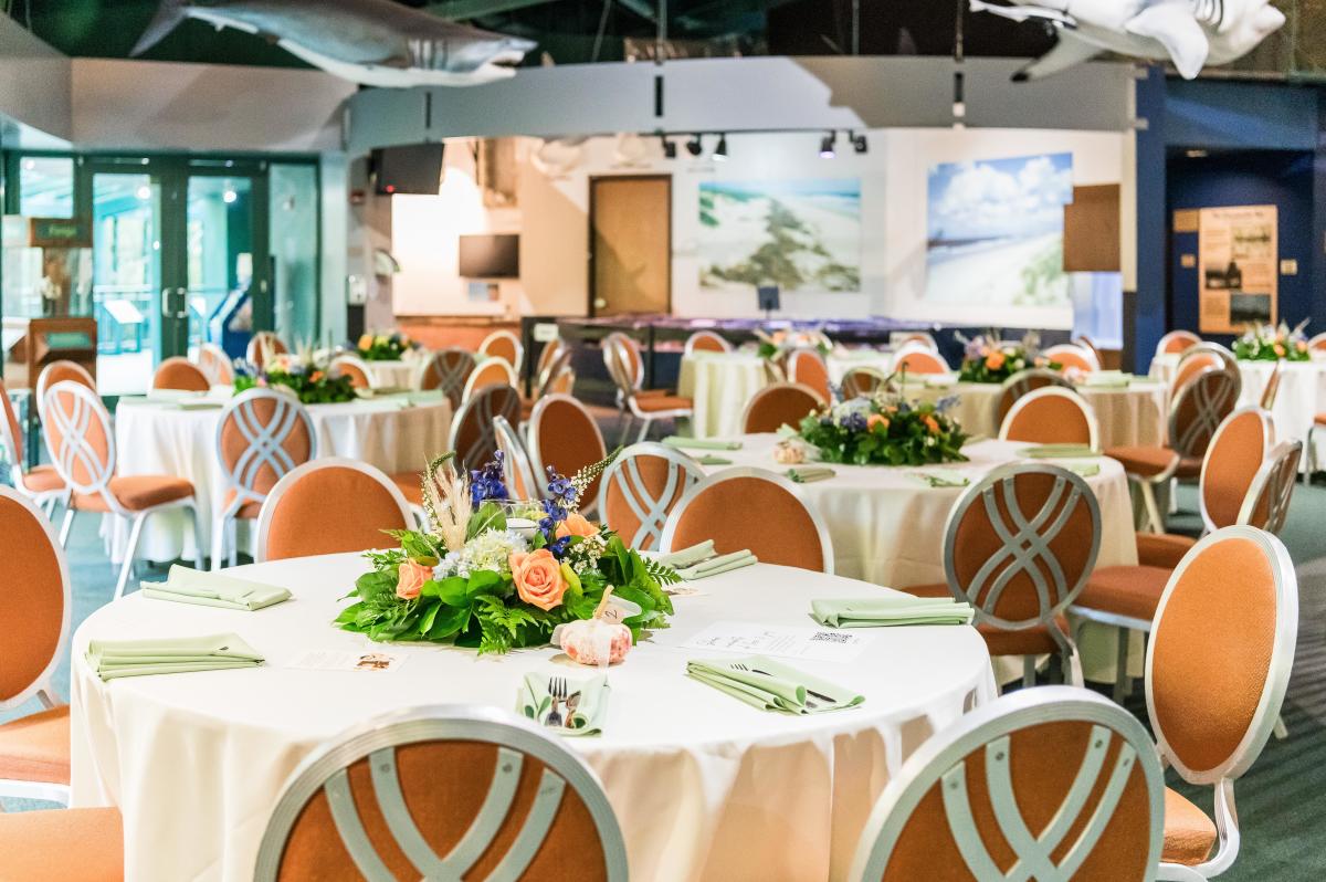 VLM Wedding 2