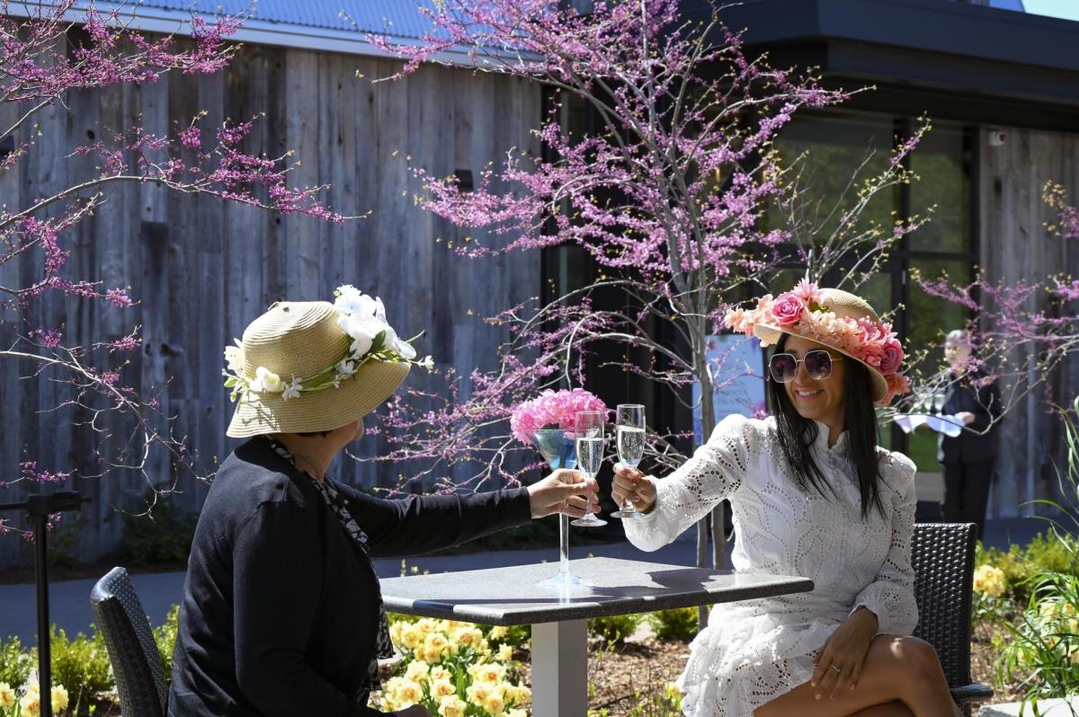 Women Wine Spring Garden