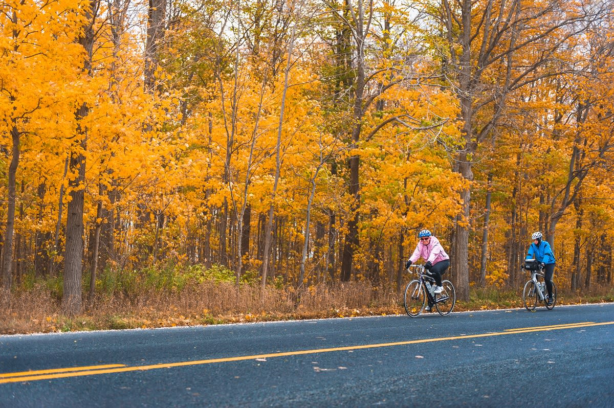 Cycling past fall colors