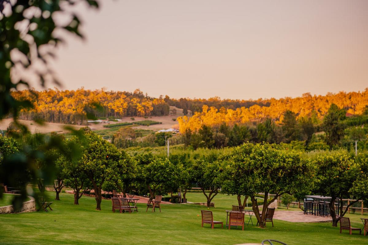 Core Cider House | Perth Hills