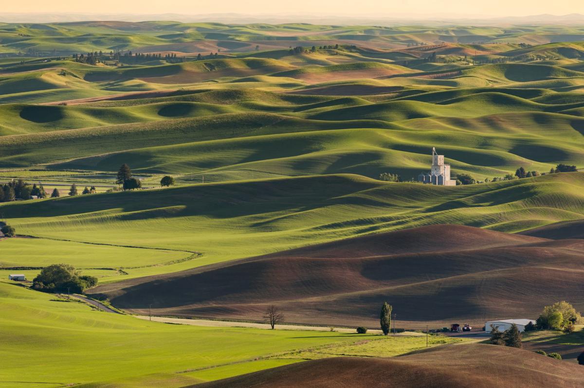 View of farmlands from Steptoe Butte