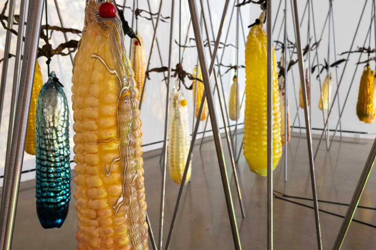 Rochester Art Center corn exhibit