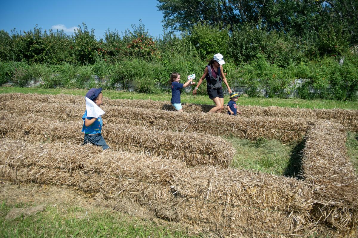 Sekapp Orchard hay maze