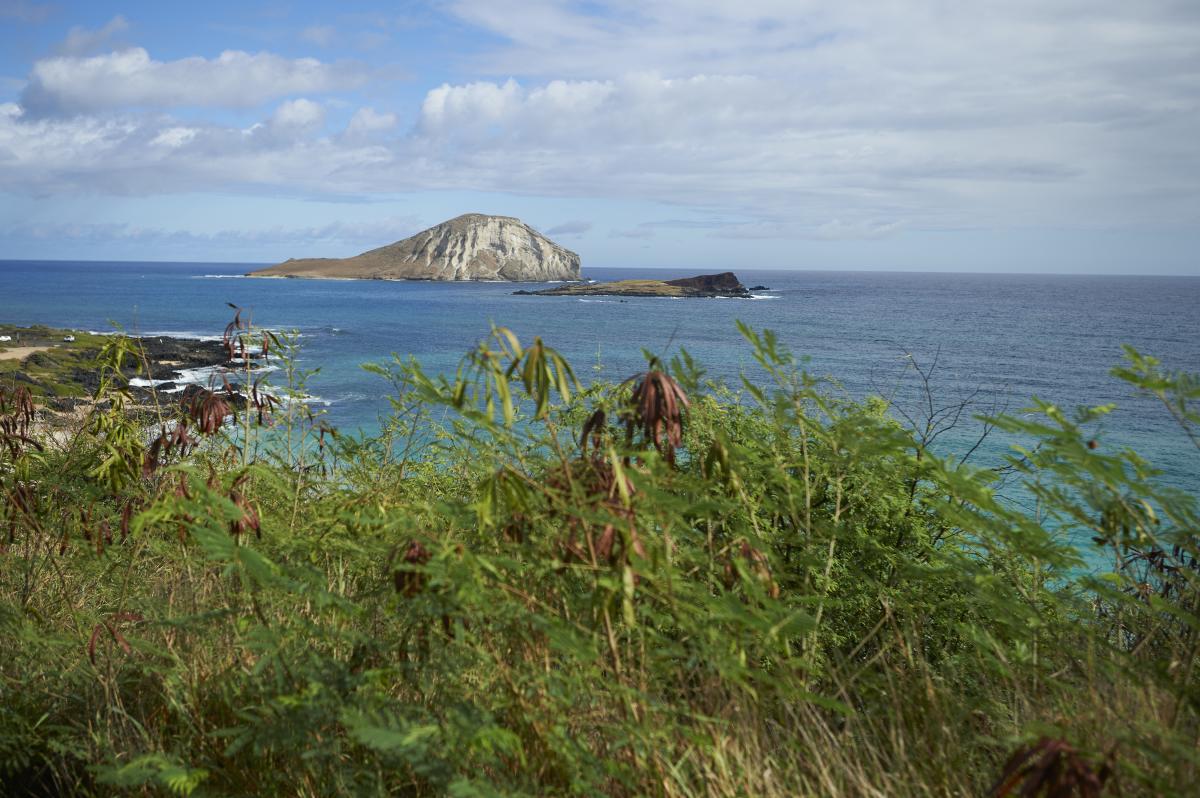 Makapuu Beach