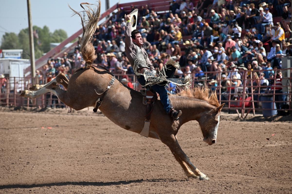 rodeo