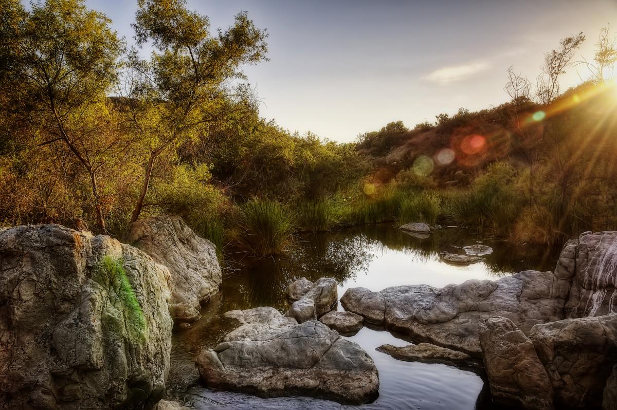 Canyon Park near Mira Mesa