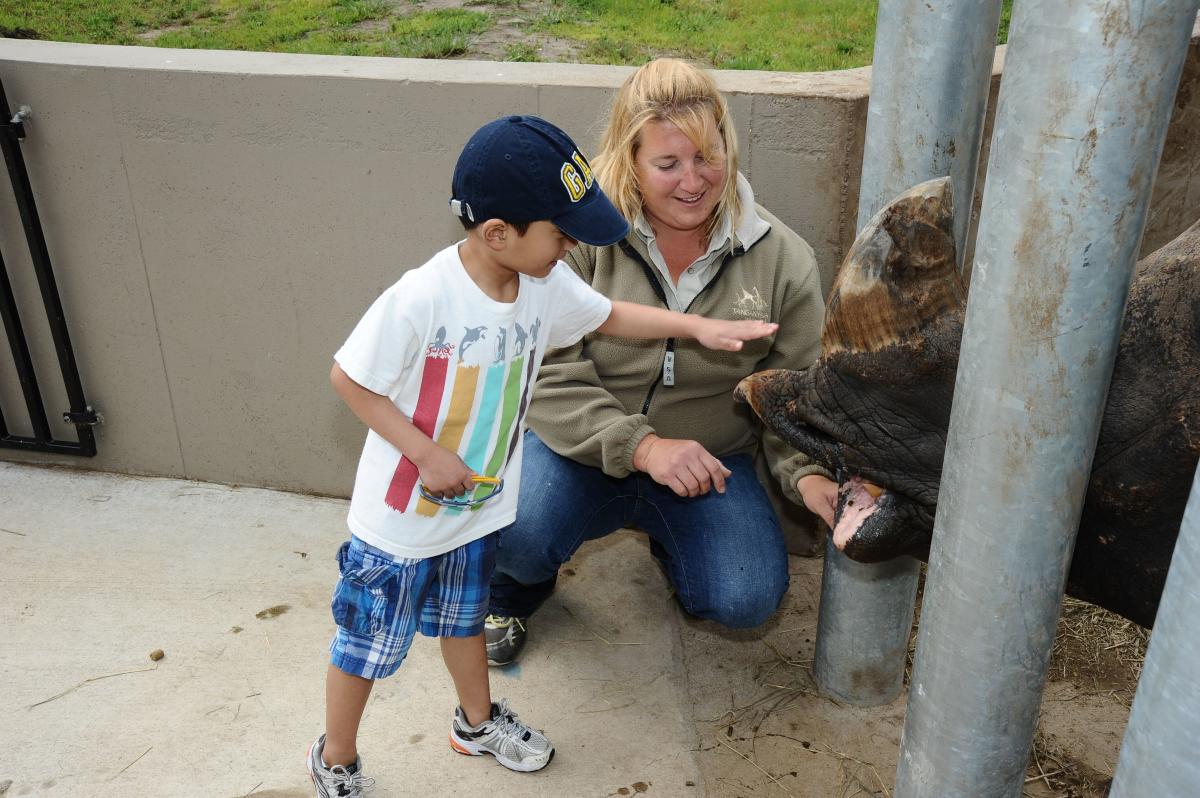 A young boy pets a rhino at Tanganyika Wildlife Park in Wichita