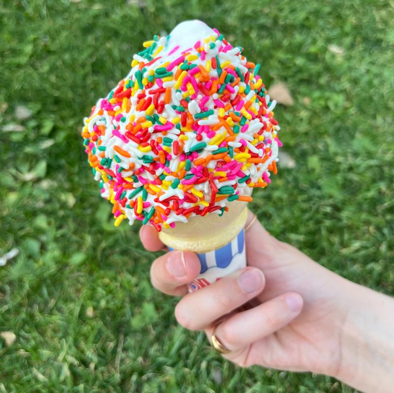 A vanilla soft serve ice cream cone covered in rainbow sprinkles from the ABQ BioPark Zoo