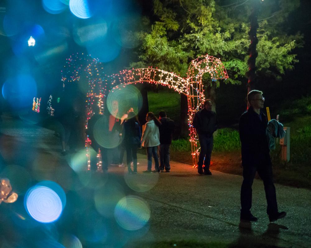 Trail of lights