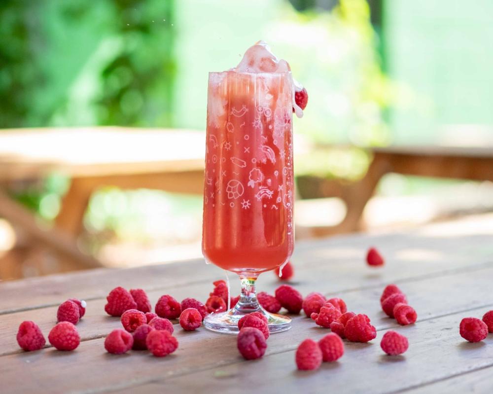 Funkwerks Brewery Raspberry Provincial