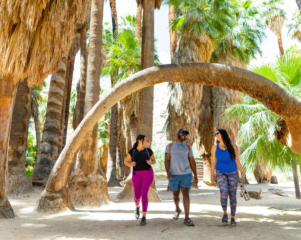 Three people hiking in Palm Canyon.