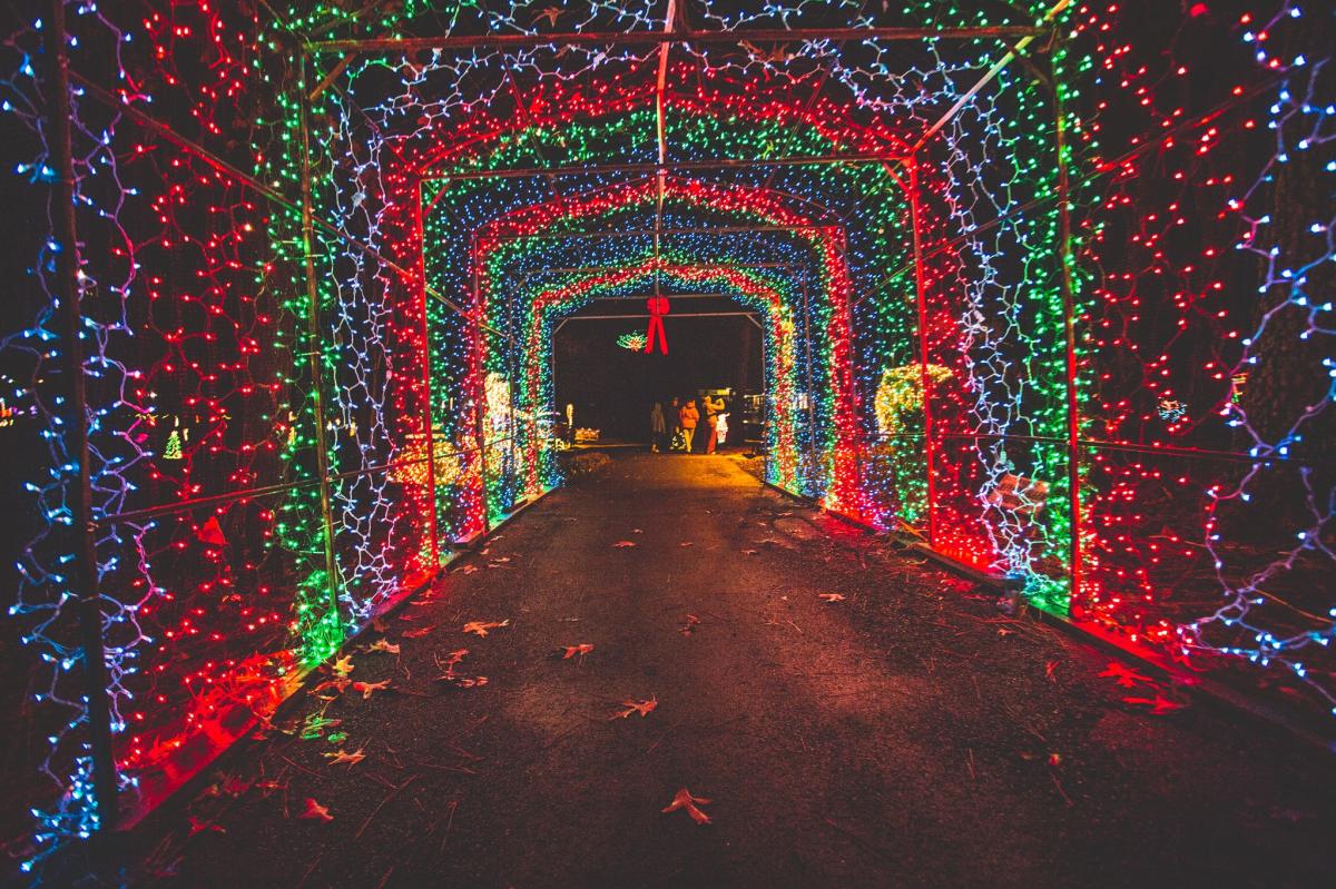 A tunnel of lights in red, green, and white at the Christmas in the Park in Arab City