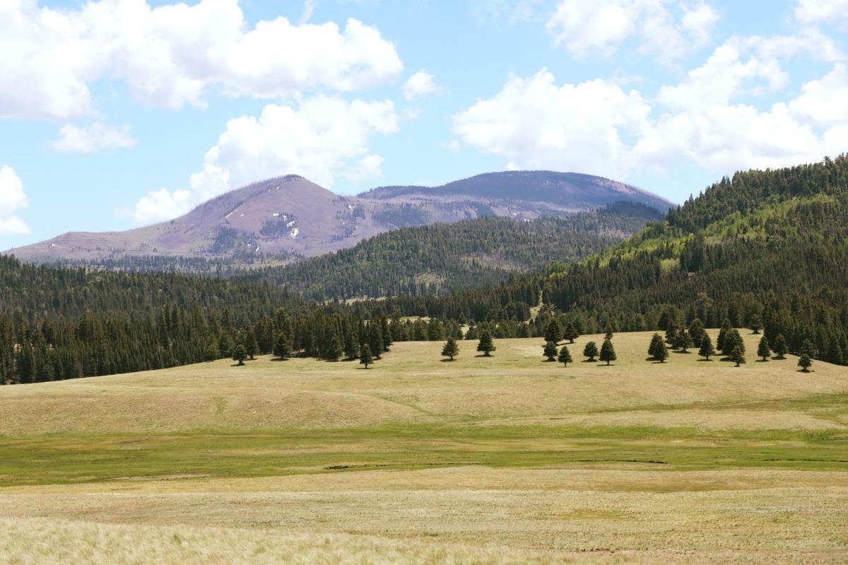 View of the Valles Caldera National Preserve