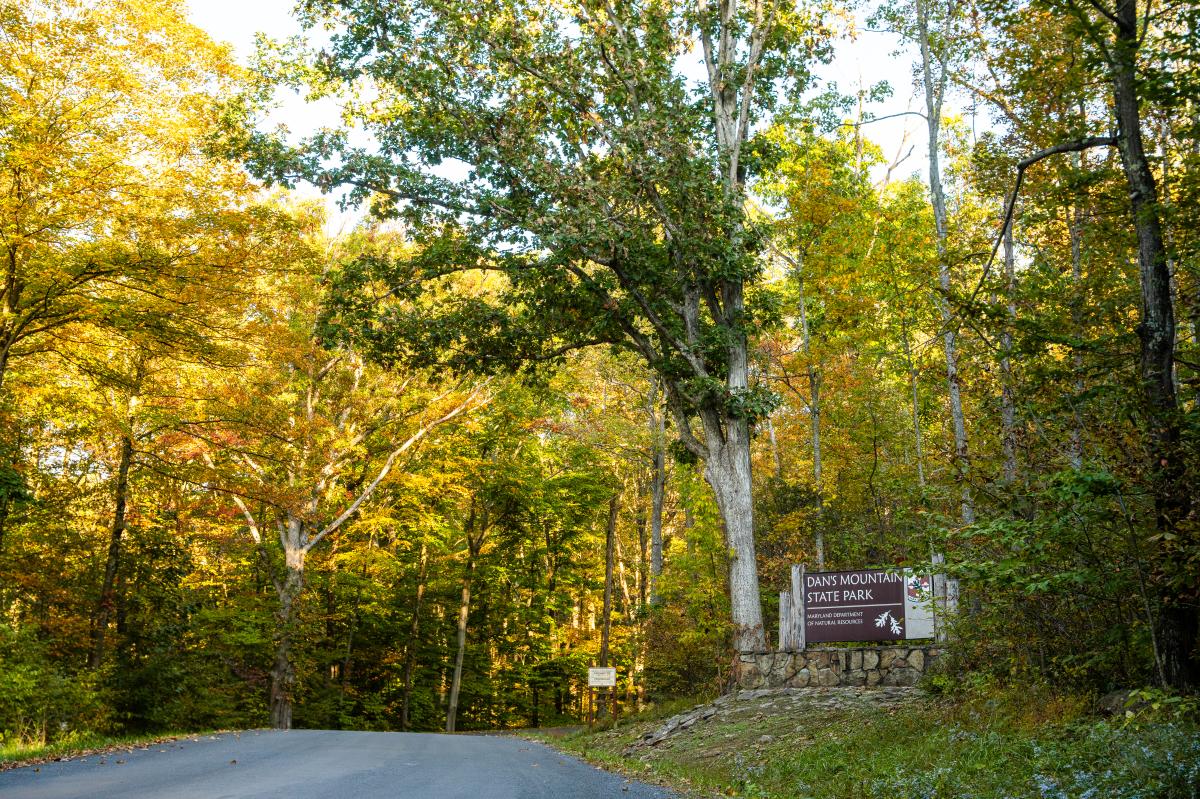 A paved road leads into a heavy forested area with shades of yellow foliage showing along the trees, and a welcome sign to Dans Mountain State Park situated alongside the road.