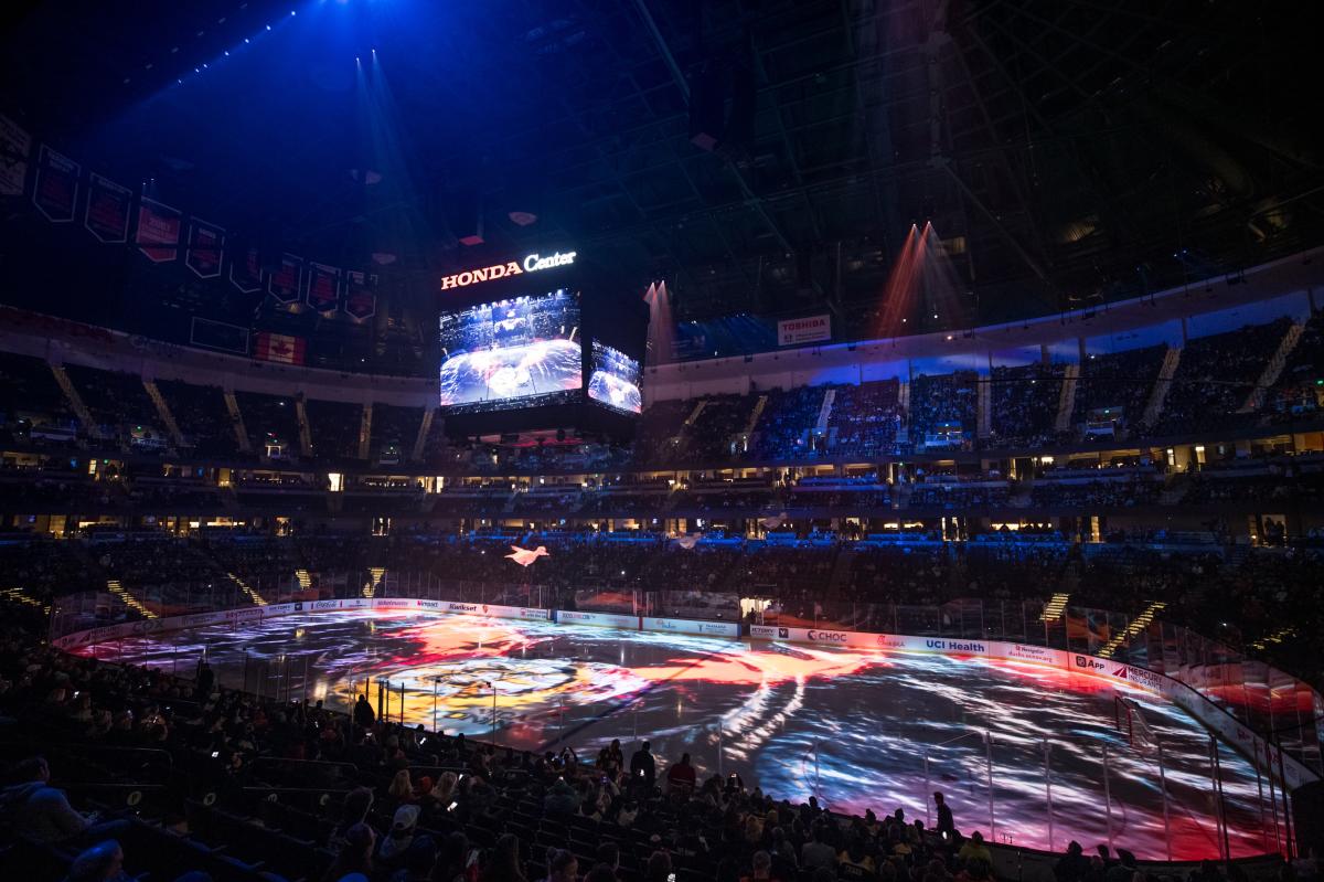 Honda Center Ducks game in Anaheim, CA