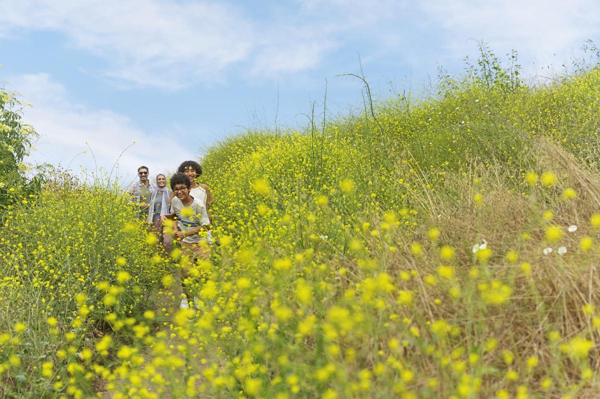 Popular Hikes in Anaheim and Orange County OC