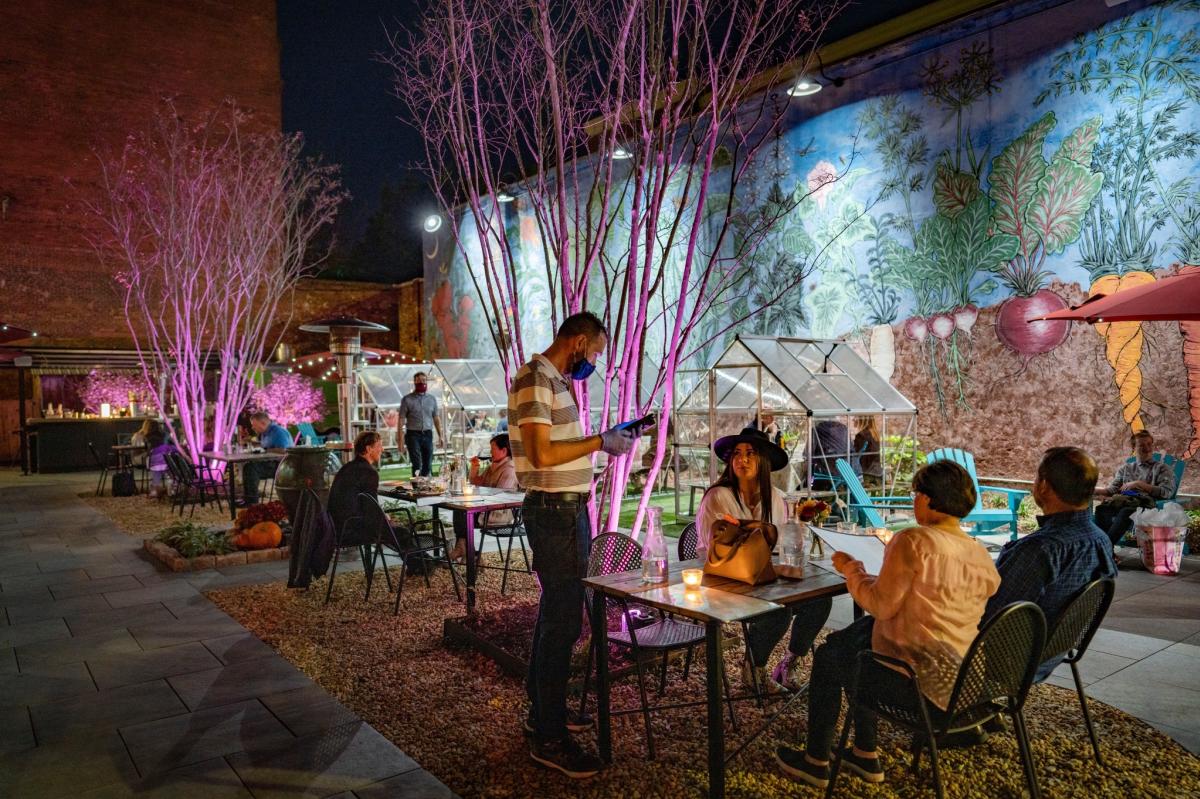 Last Resort Patio Garden with Greenhouses