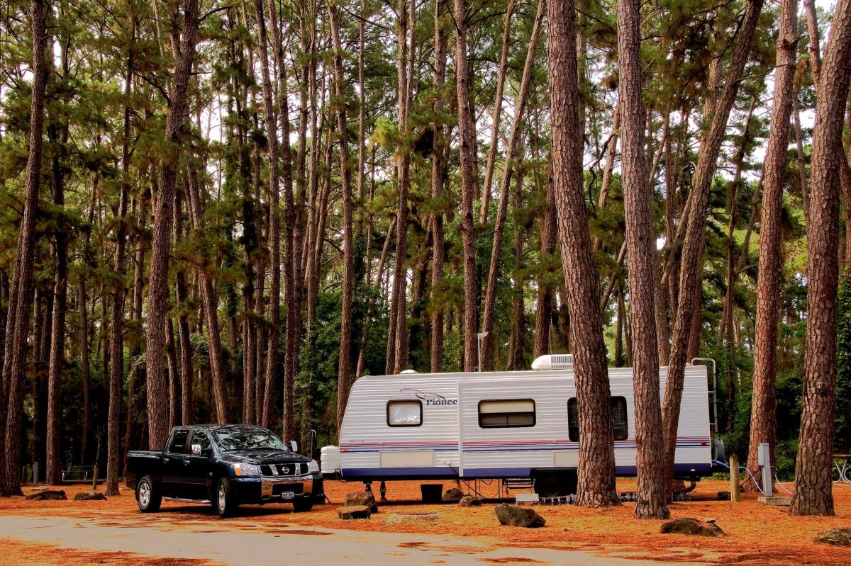 A black truck and a white camper parked in Bastrop State Park surrounded by Lost Pine Trees.