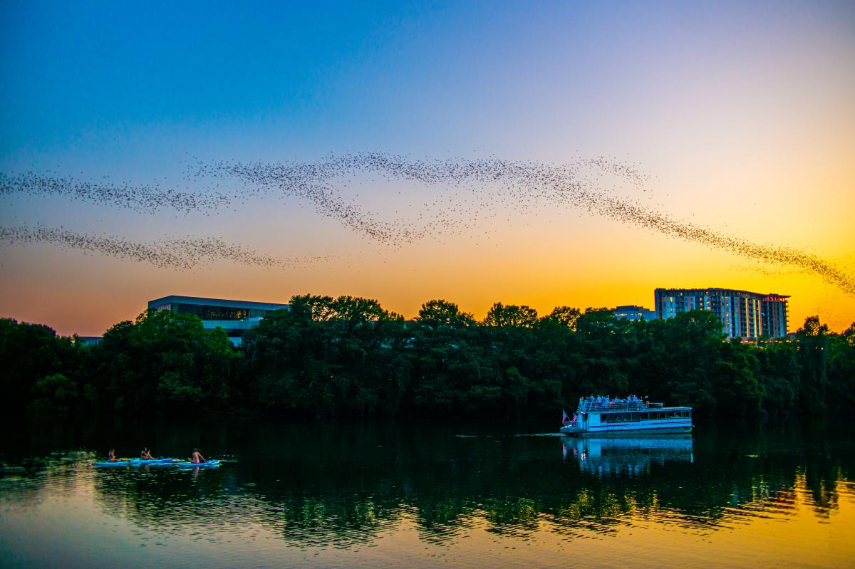 Image of Lady Bird Lake at sunset with a cloud of bats flying across the sky with a tour boat floating on the water below.