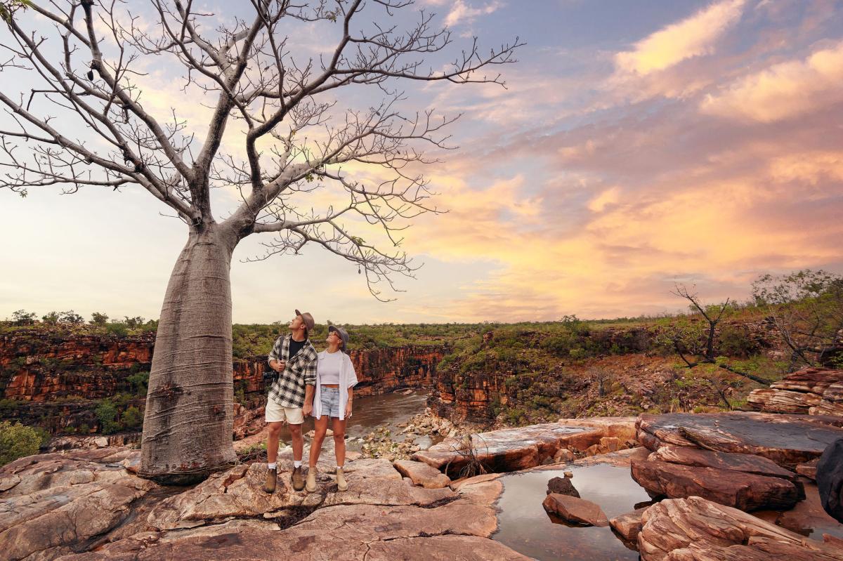 A couple stands alongside Matthew Gorge looking at a boab tree