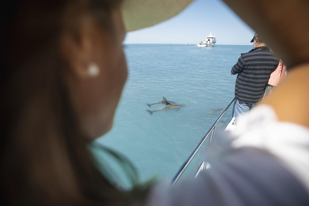 People watching snubfin dolphins from a boat in Broome