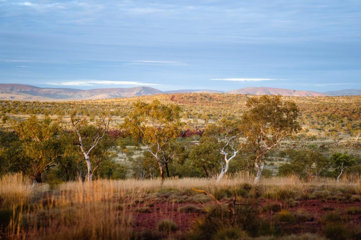 A view of the mountain ranges, trees and landscape near Joffre Gorge in Karijini National Park.