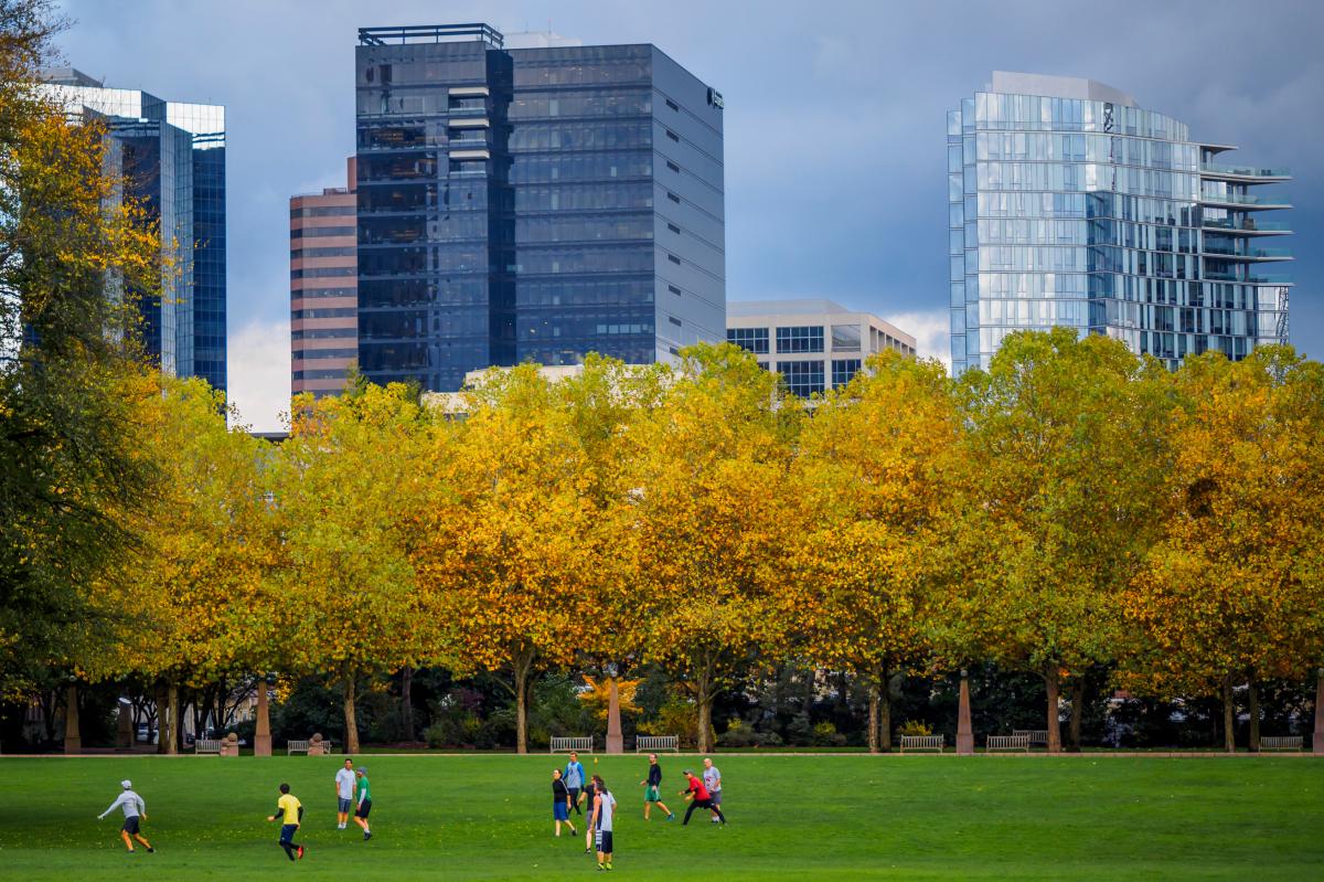 Bellevue Downtown Park Frisbee