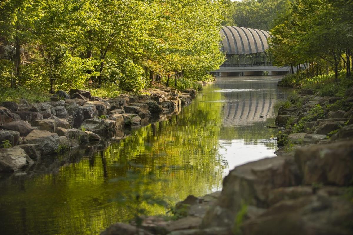 Looking up the creek at crystal bridges museum of american art