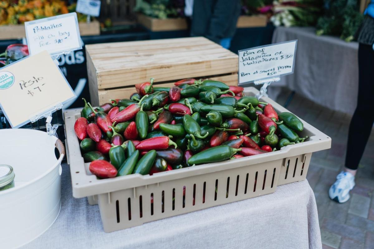 A basket filled with vibrant jalapeño peppers and red chili peppers at a market stall, with signs displaying prices.
