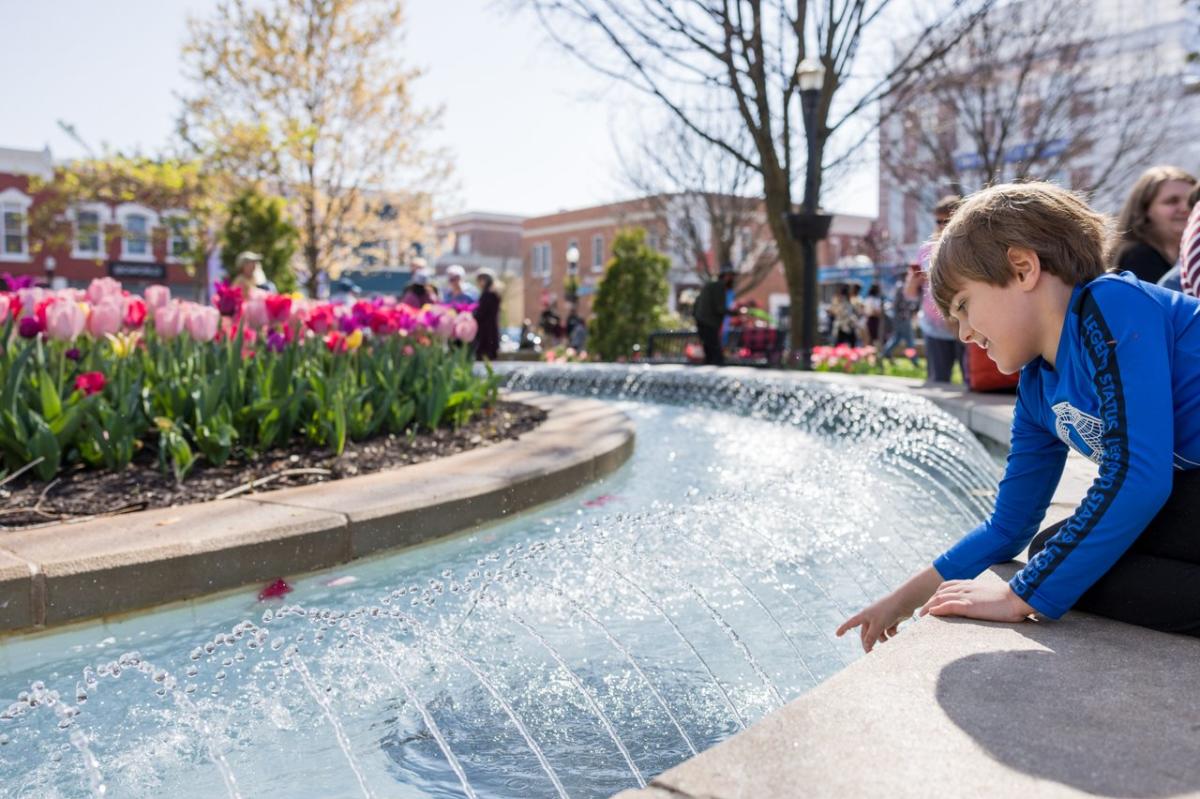 Spring at the Square