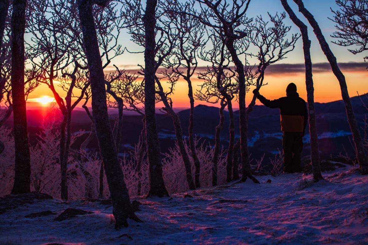 The sunrise bathes the sky in pinks and purples as a snowboarder looks on from the trees.