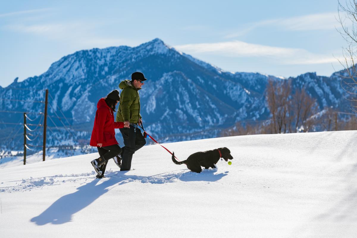 Couple and dog winter walk
