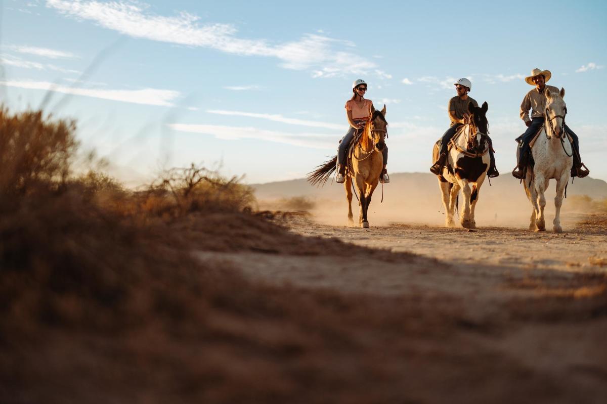 three people on horseback riding through the desert