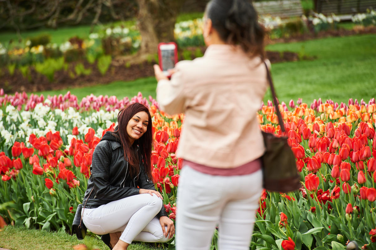 Longwood Gardens Spring Blooms