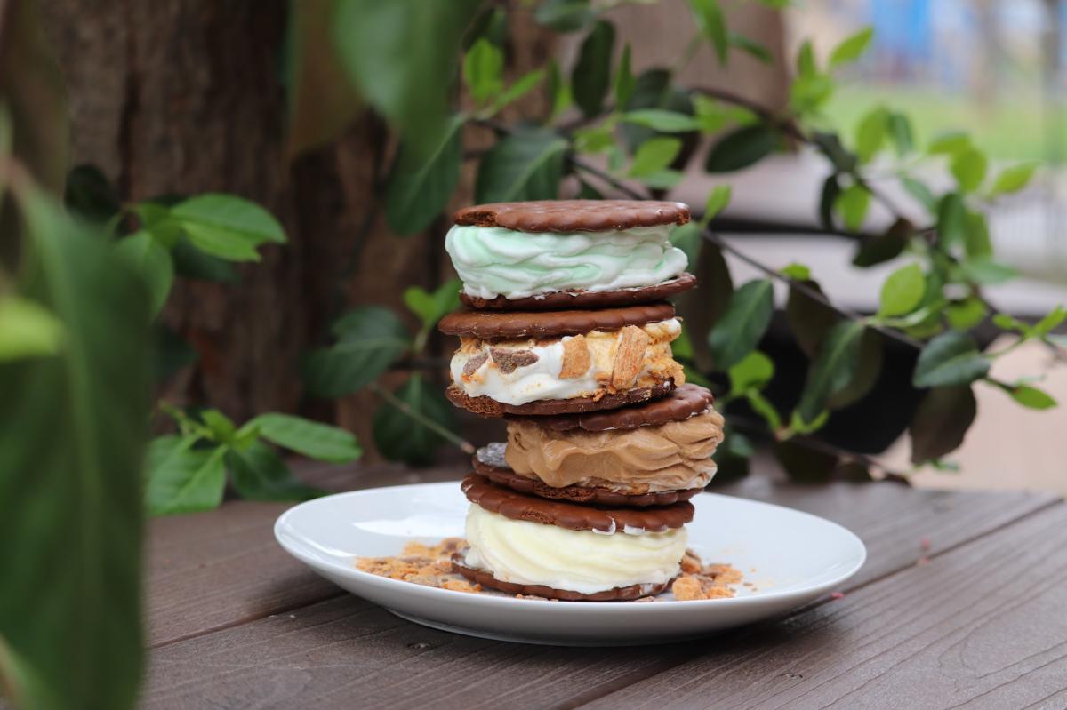 Image is of four different types of homemade ice cream sandwiches. with a chocolate