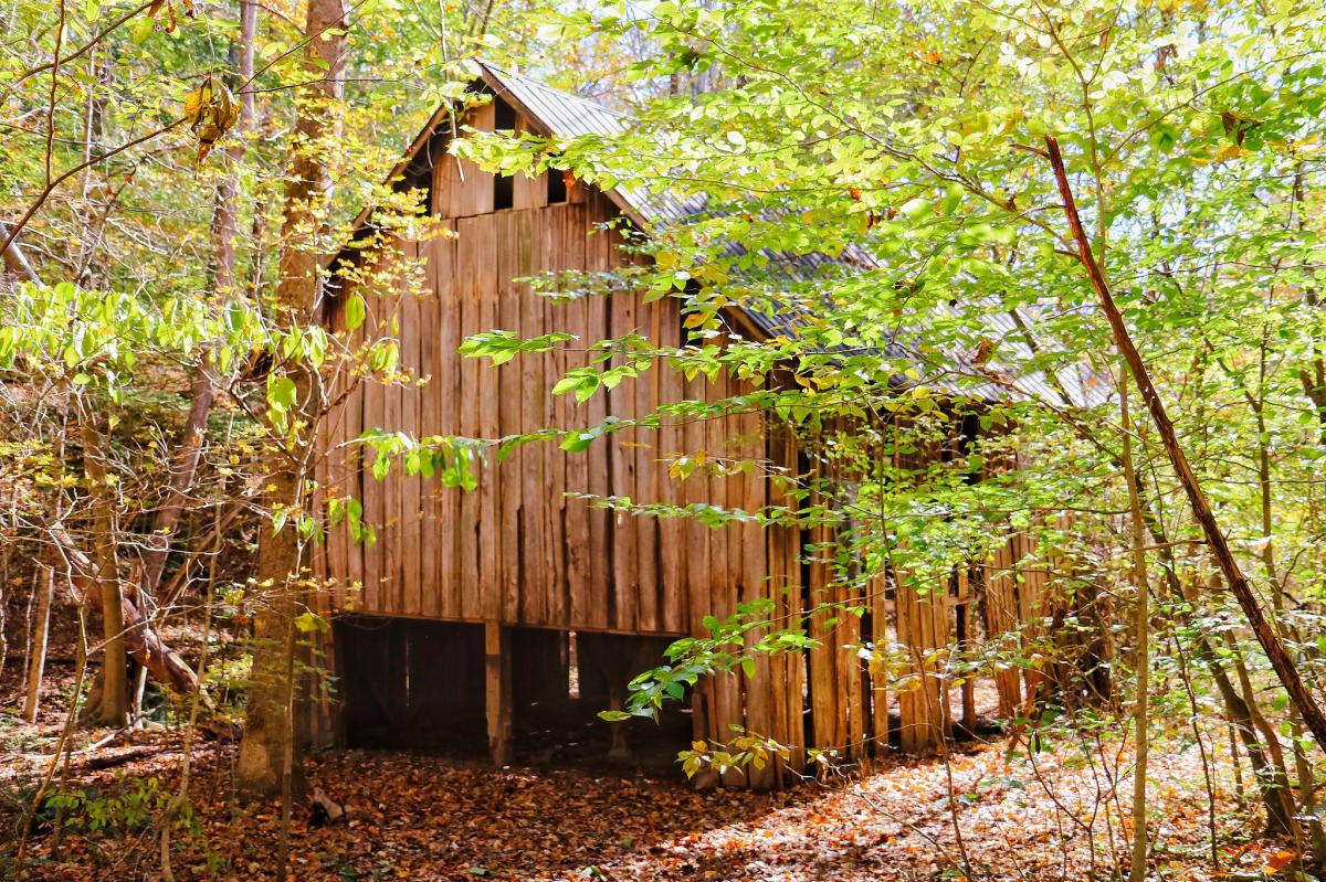 old barn in the woods