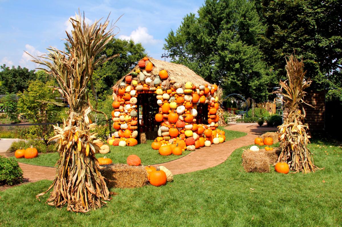 Pumpkin house surrounded by corn stalks at Franklin Park Conservatory's Harvest Blooms exhibit