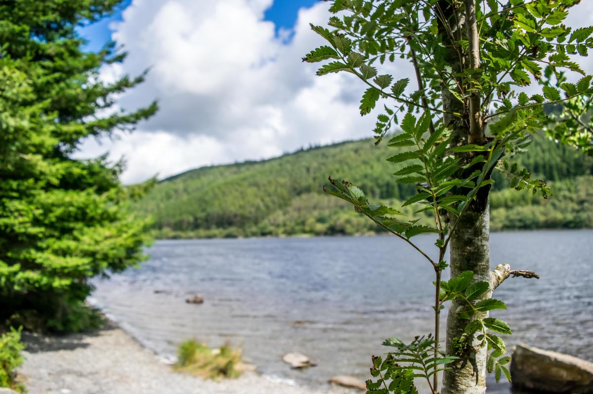 Llyn Crafnant