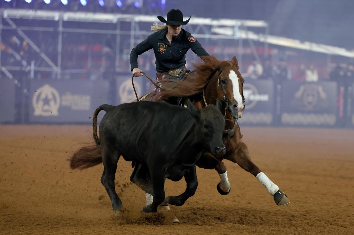 AMERICAN PERFORMANCE HORSEMAN