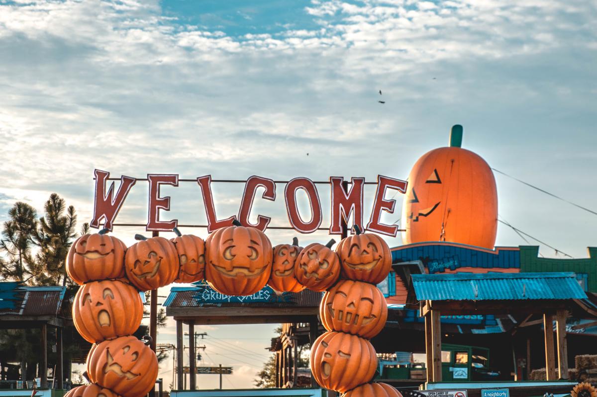 Yesterland Farm Fall Festival