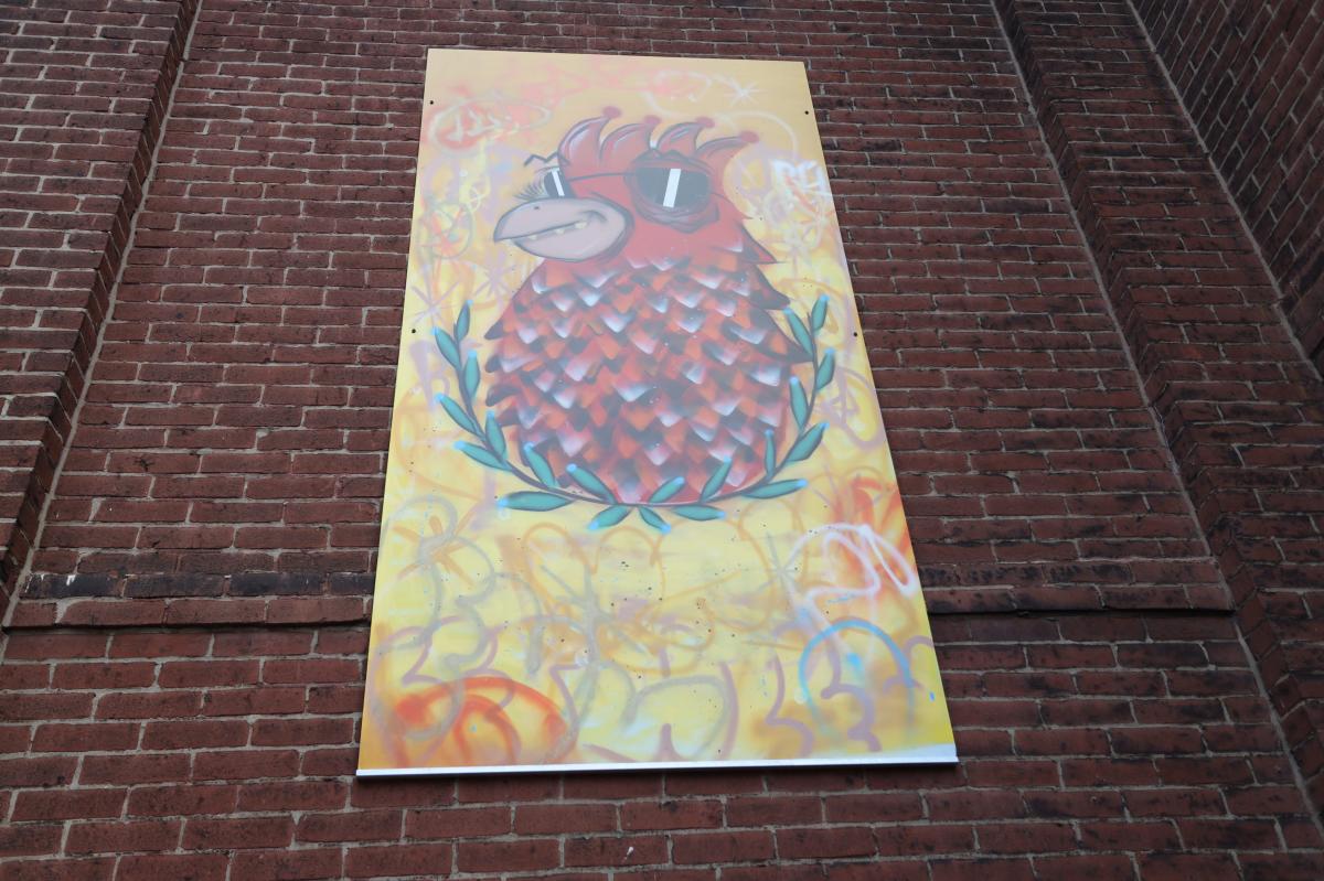 Lehigh Valley Hawk (Mural)