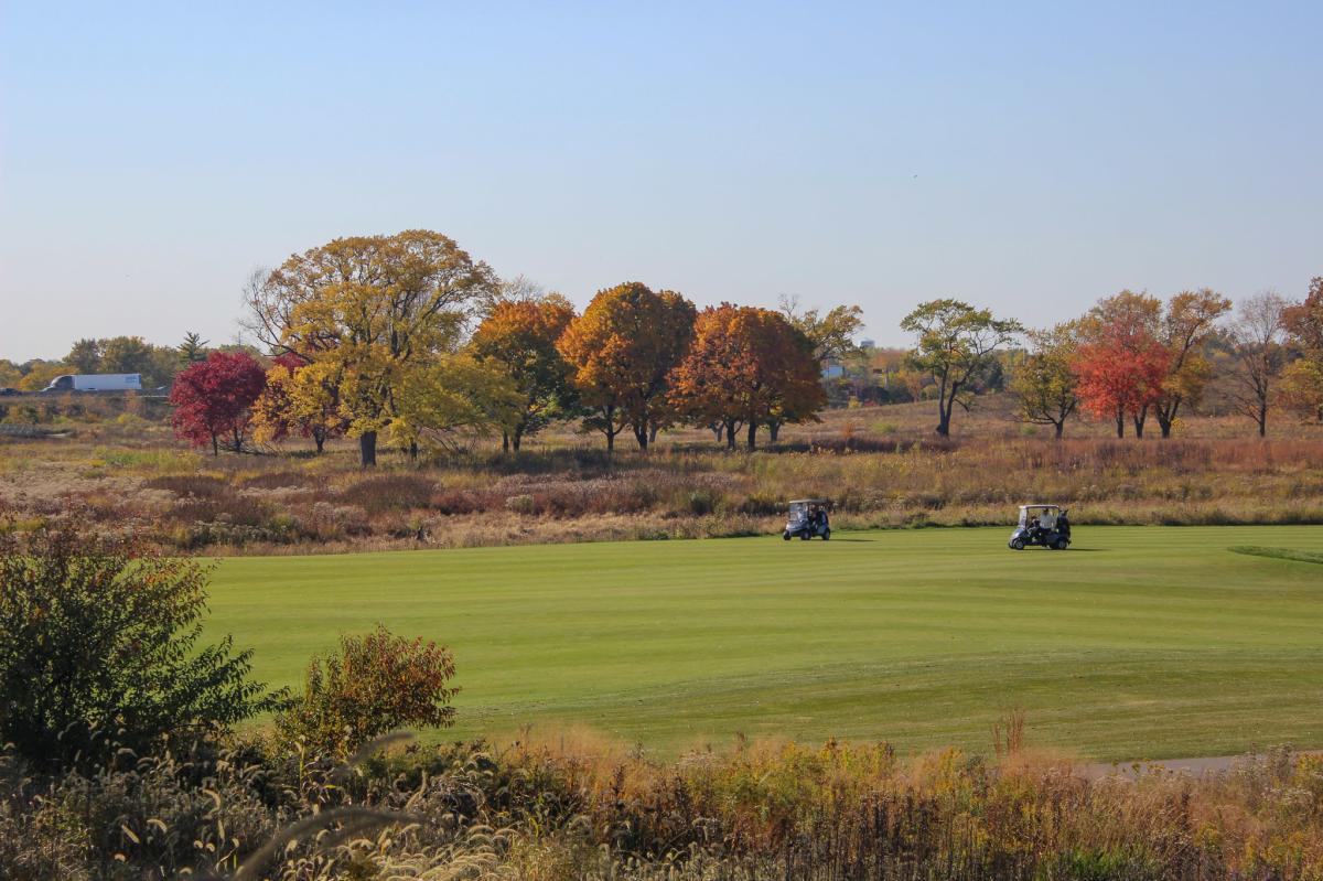 The Preserve at Oak Meadows Fall