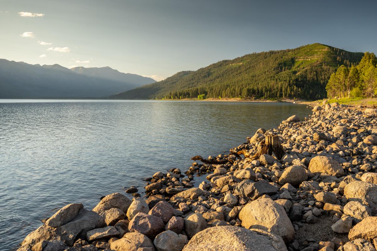 Shoreline of Vallecito Reservoir in Spring