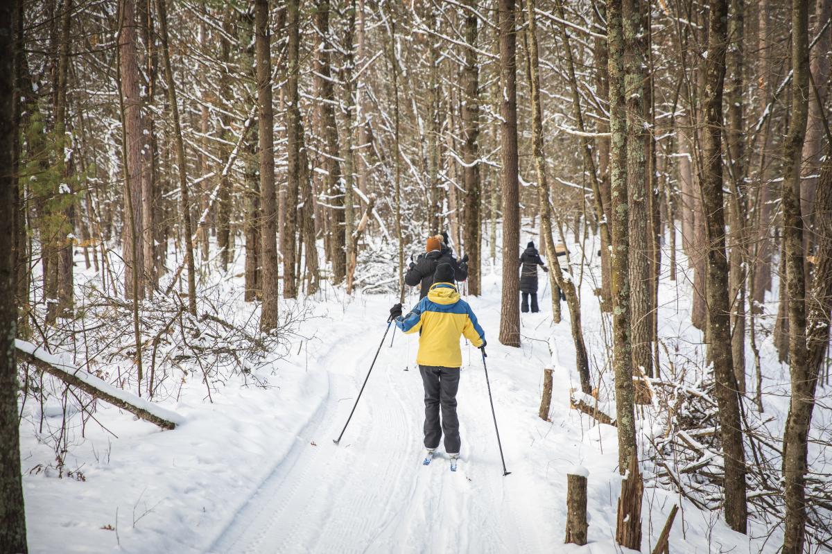 a group of people cross country skiing at Beaver Creek Reserve